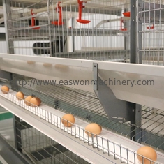 Q235 الصلب التلقائي معدات مزرعة الدواجن الدجاج أقفاص طبقة لوضع الدجاج