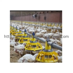 مراقبة البيئة تربية الحيوانات / معدات مزرعة الدواجن تغذية الدجاج التلقائي