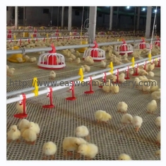 معدات مزرعة دواجن حظيرة الدجاج الأوتوماتيكية مع نظام التهوية