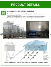 معدات مزرعة دواجن حظيرة الدجاج الأوتوماتيكية مع نظام التهوية
