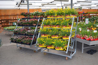 عرض عربة نباتات 500 كجم على عجلات ، رف زهور ISO خارجي