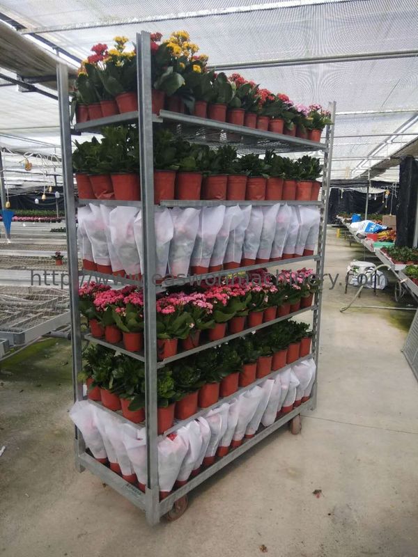 53.1 × 22.2 × 74.8 بوصة عربة زهور دنماركية ISO عربة نباتات الحديقة